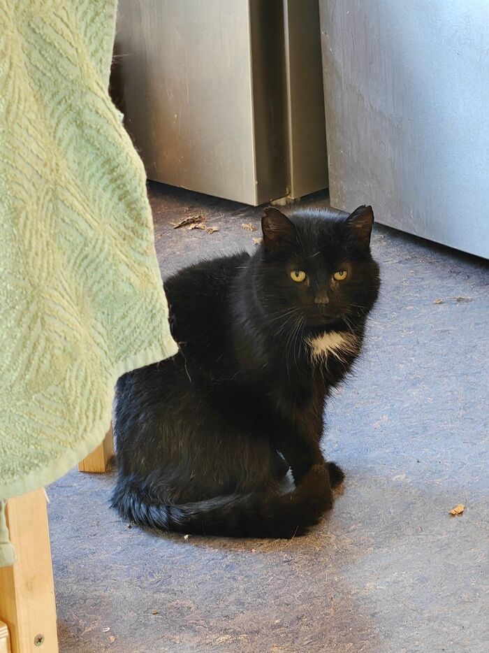 �� ������ �� ��, ��� � �� ����� ������, �� ���� �� ����� ������ ������. ����� � �� ����������