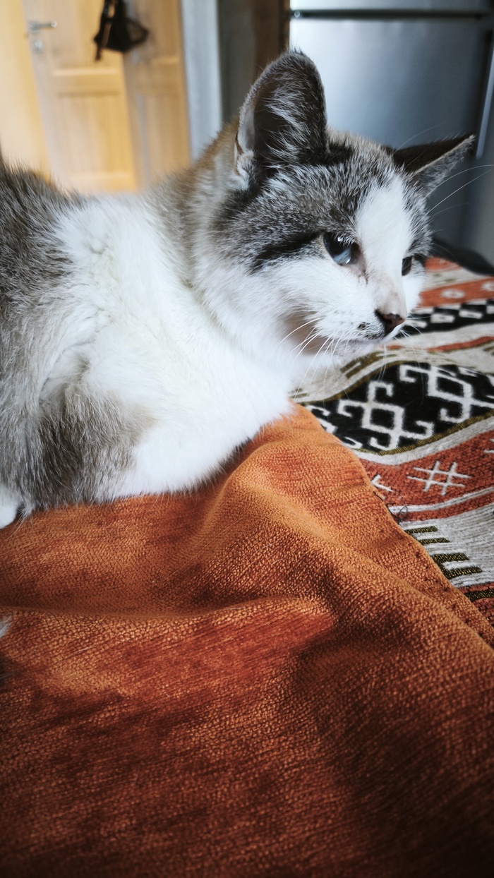 ����� ��������