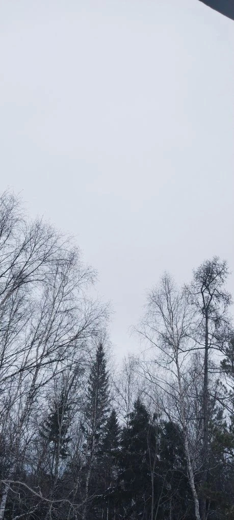 ����� �� �������� � ��� �����, ��� �������. �� ������ ��� ���. ������ ��������� ����� ����. � �� ������� � ���������.