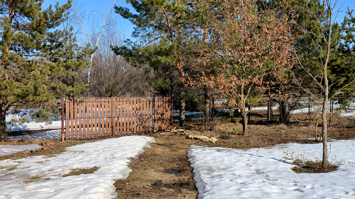 ���� �� �������, ��� ����� �������-�� ���������!