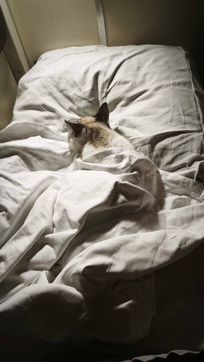 ������ ���� � �������