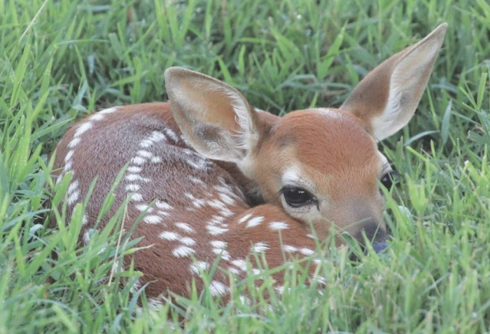 � ������� ��� ��������: "�� ������ ���� �������. ������� �����. ������������. ������. �� ����"