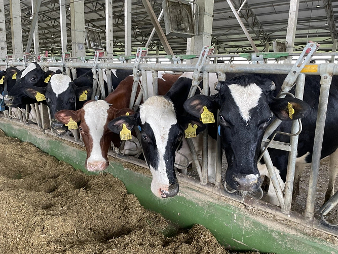 ����: ������ �������