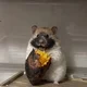 ����� ����� ������ ���� �����������