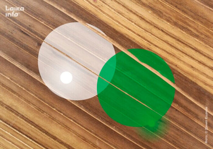 ����� � ������: ��� ���� ���� ������ �� ����� ����-������������