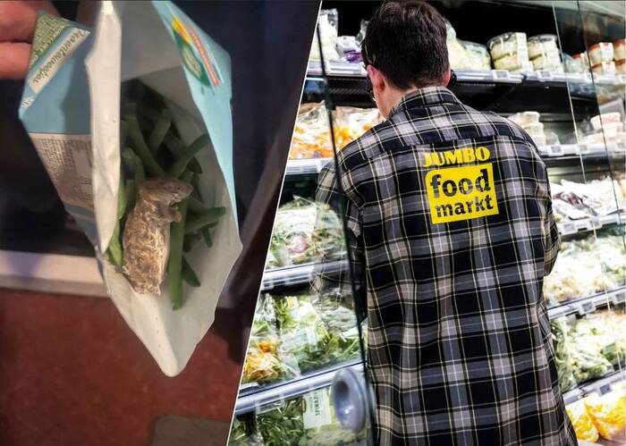 ��� ����� ������� ���� ����� � �������� ������������ ������ � �����������