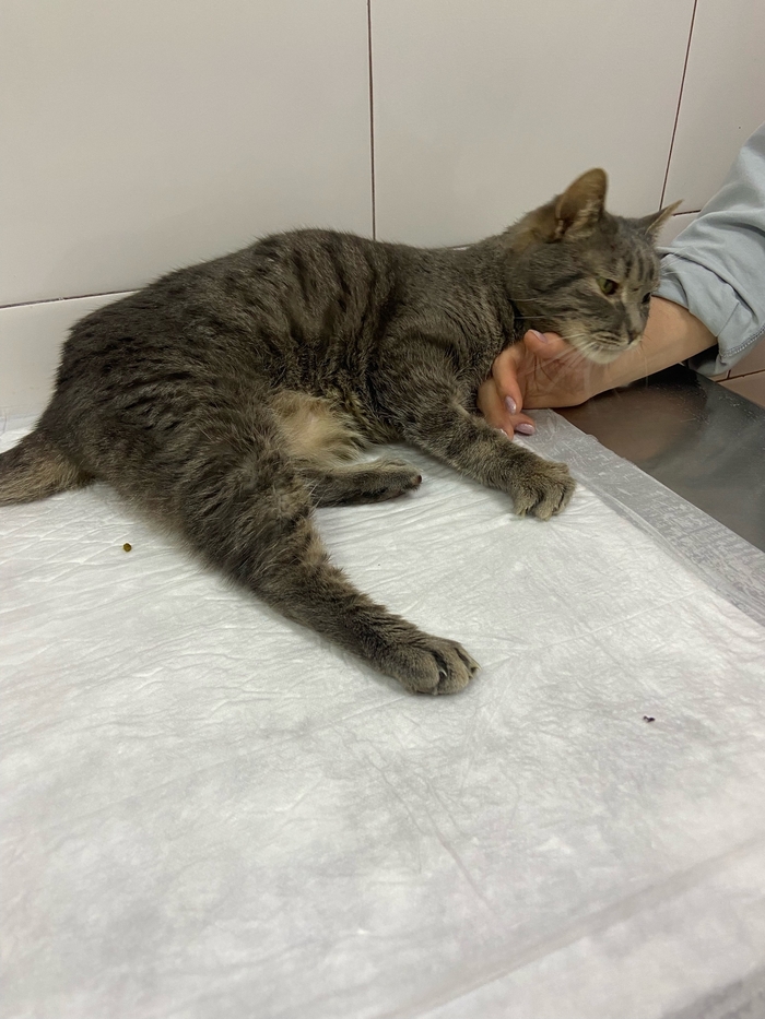 ������� ���������� ��� ������ ����� � ������� �� ��������