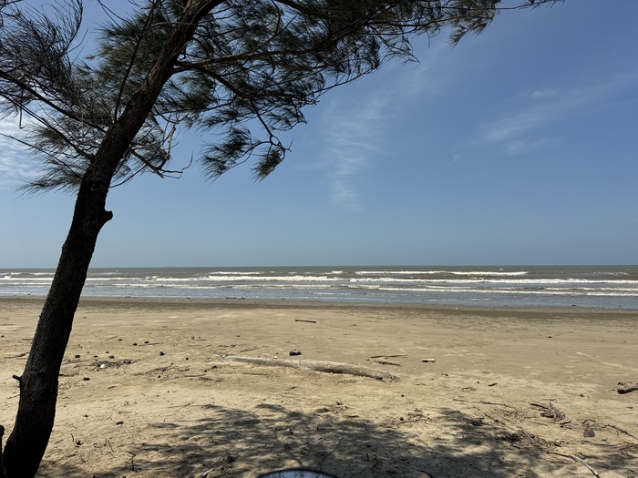 ���� ����-���������