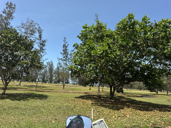 ���� ��� ������