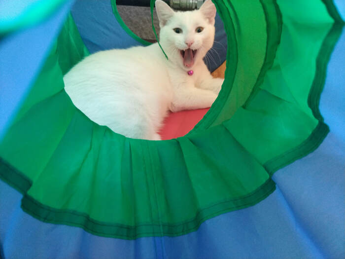 ���� ���-������ �� ������