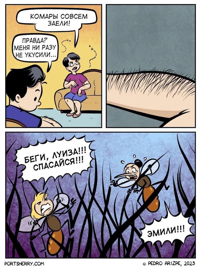 ����, �����!!