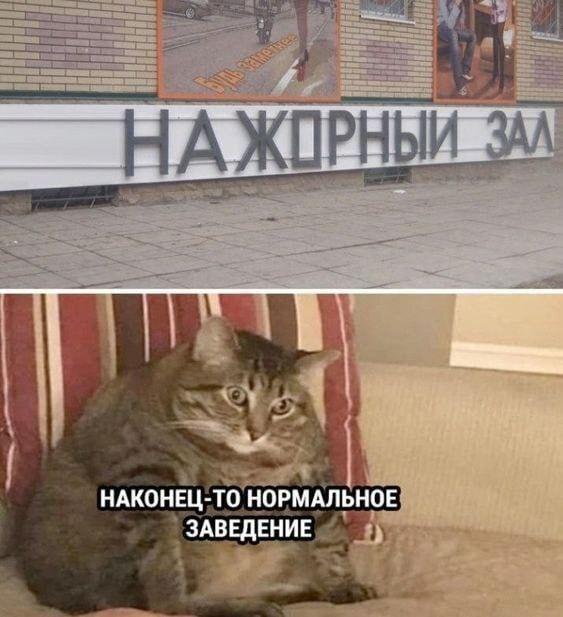 ����� akoulev � ���, ����, �������� �����, �������� ������, ���������� �������...�