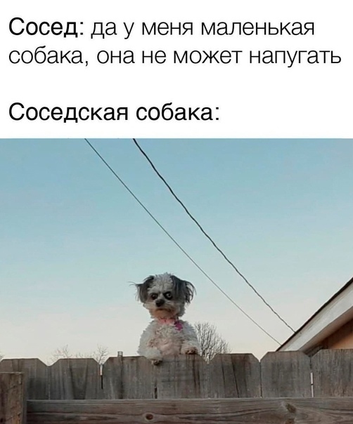 ������ ���� ���������