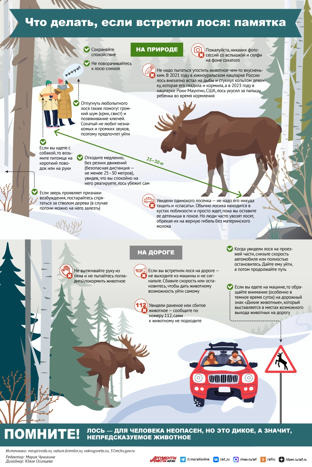 What to do if you encounter a moose: a reminder - My, Picture with text, Animals, Forest, Nature, wildlife, The nature of Russia, Photo hunting, Elk, Life safety, Road safety