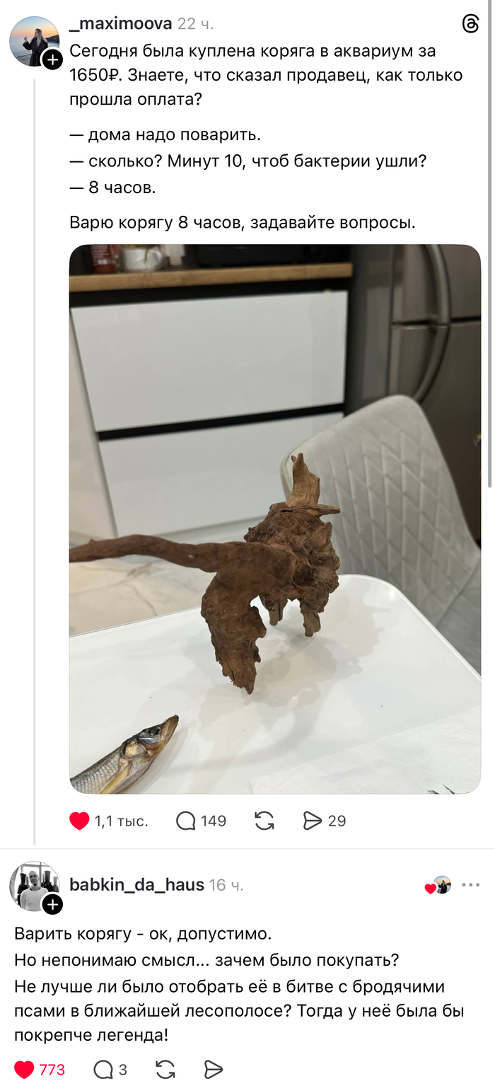 ���, ��� � ���� �������, ���� ������ �������))