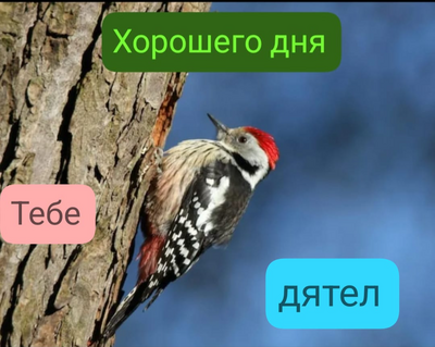 Иллюстрация к комментарию