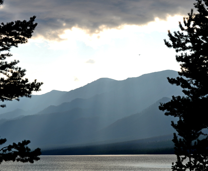 ��� ������ 2019 ����, ���� ������� ����� ��-�� ������ �������. ������ ������������ � ����� � ������� ��������