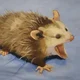 ����� ����� ������ ���� �����������