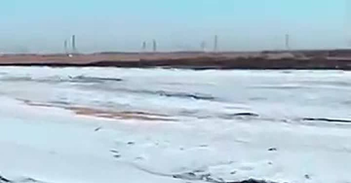 В Китае с дрона сняли эпичную погоню двух собак за зайцем - Погоня, Охота, Заяц, Дрон, Экшн, Видео, Видео вк