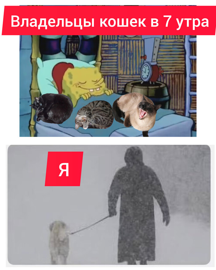 ������ ������