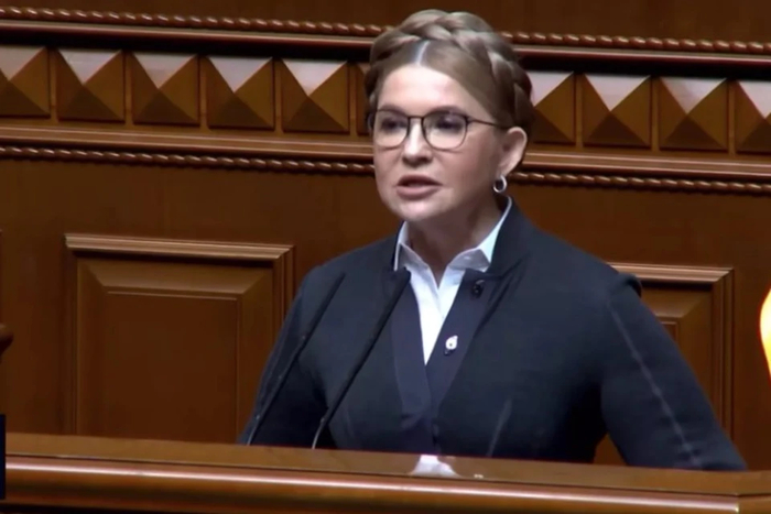 Тимошенко. Скриншот с видео