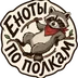 RaccoonShelf