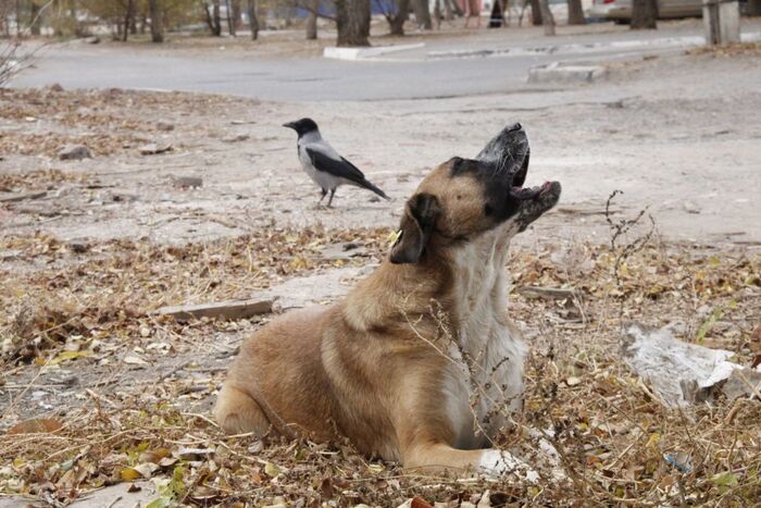 �� ����� ���������� ������������ ������� ������� ������������� ����� � ����������� �������� �����