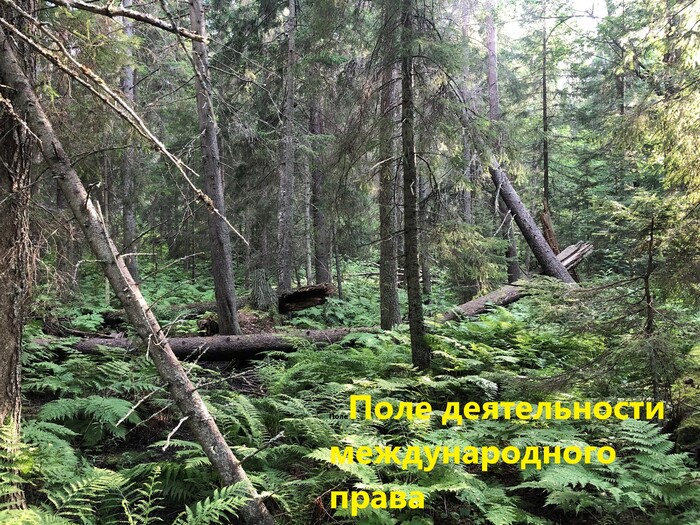 ������ ��������� ��� ������ ��������� ����������� � ���� �������������� �����