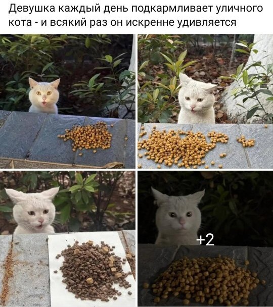 �� ������ ����! ��� �� ���?