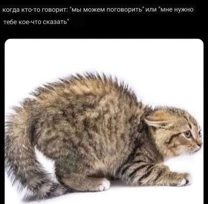 Опасность, готовься к худшему