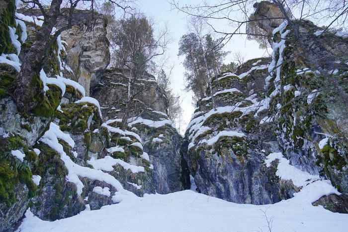 ��������������������� ����������� �������: ������������ ������� � ������ �� ���� ��. ����: ������ ��������� 