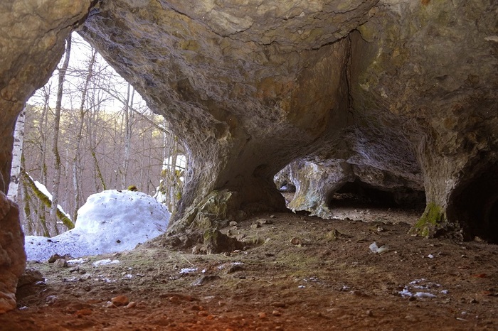 ��������������������� ����������� �������: ������������ ������ �� ���� ��. ����: ������ ��������� 