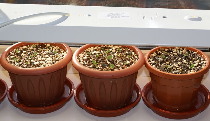 ����� ��������� ������� �������� �.��������� �� 14.03.26.