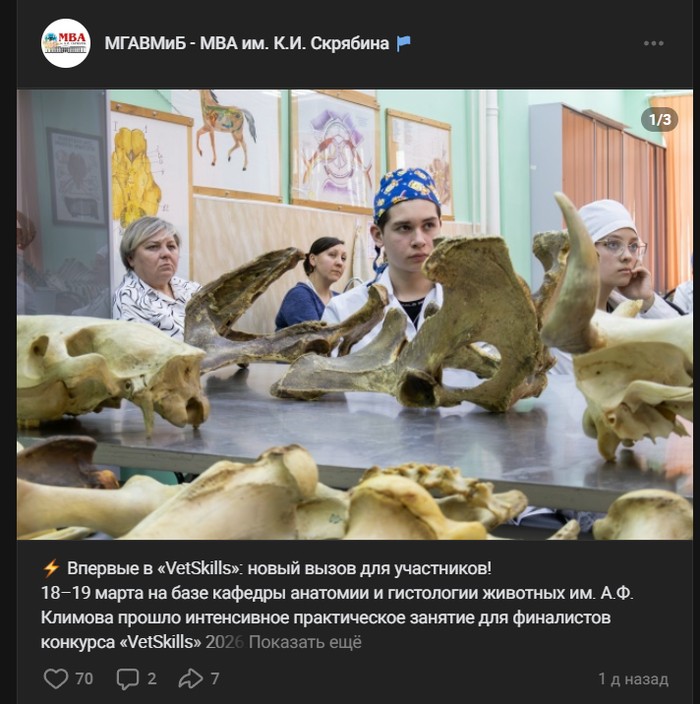 ���� �� 24.03