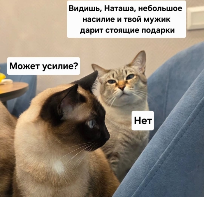�� �����