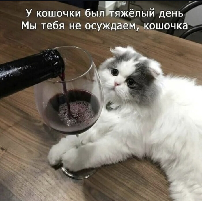 0% ���������, 100% ���������