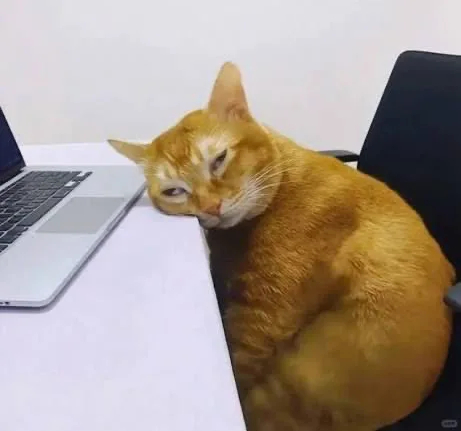 ��������, �� �������� ����� ��������� �����