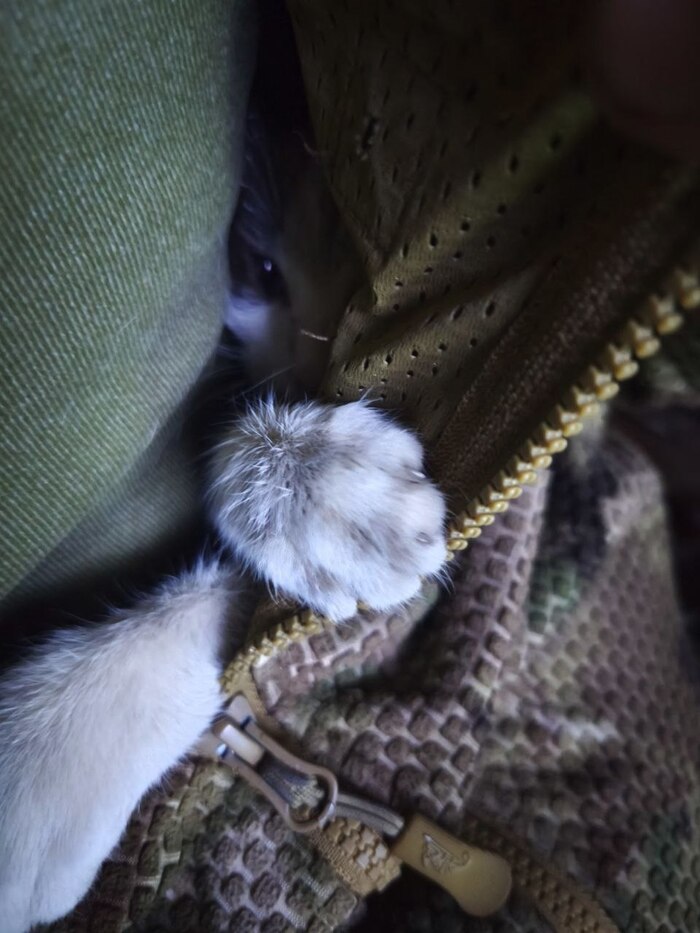 ������� ������ ������� ���� � ������ � ������ ������. 