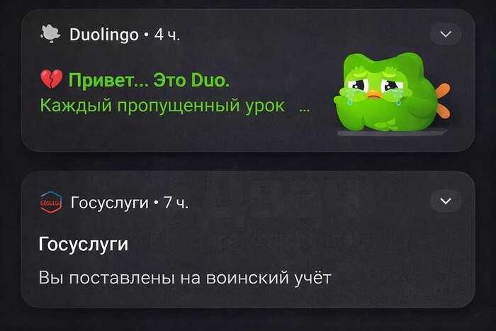 ����� ���������