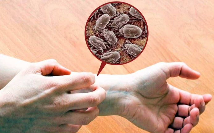 �� ������� ���� ��������� ����. ���������� ������