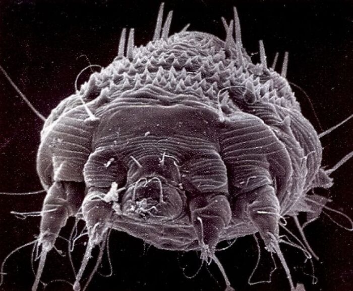 �� ������� ���� ��������� ����. ���������� ������