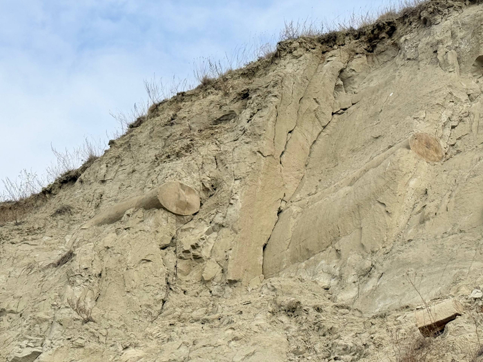 ������������� �����������.