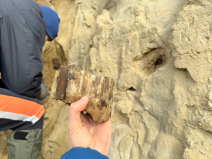 ������� ������.