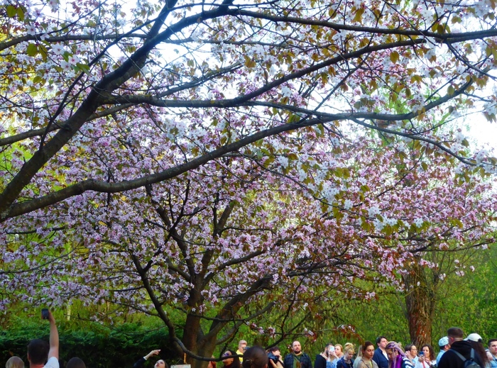 ���� ������.