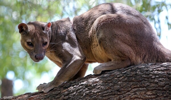 ���, ��� �� ���������� �����. ����� ����� � ����������.