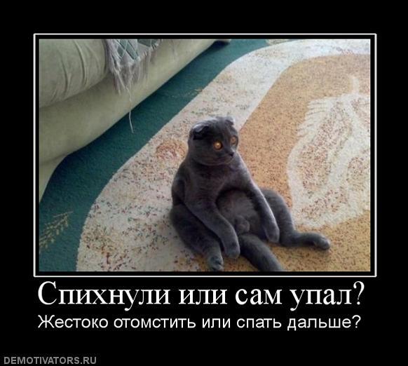 ������� �������: �� ��� ���������� ��� � ����� �����������