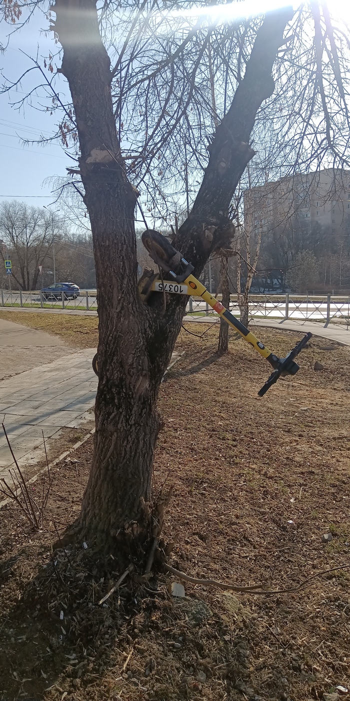 �������� ���������