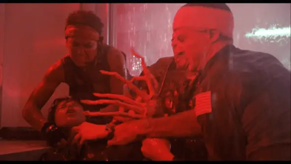 � ������� ���� ����� ��������