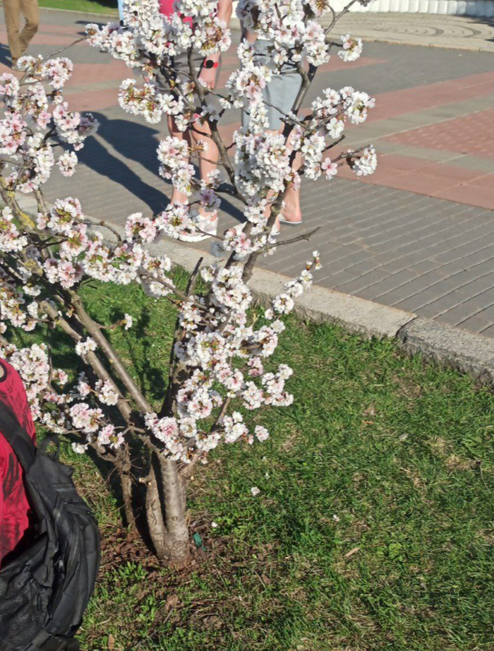 ���������� ������.