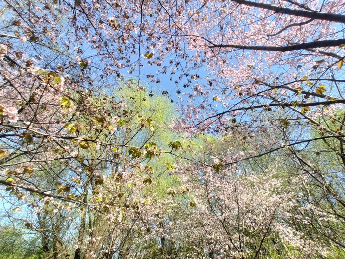 ���������� ������.